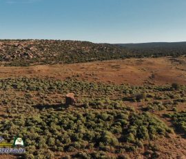 San-Cristobal-Ruins-Galesteo-Basin-Mavic-Air-mpv-shot0004