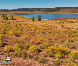 New Mexico Outdoors Photos 1 Sanchez-Reservoir-Fishing-San-Luis-Colorado-vlcsnap-2022-07-30-10h32m26s375