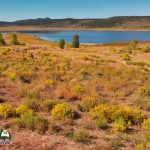 Sanchez-Reservoir-Fishing-San-Luis-Colorado-vlcsnap-2022-07-30-10h32m26s375