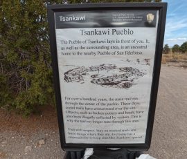 New Mexico Outdoors Photos 53 IMG_20241008_152143_011.jpg