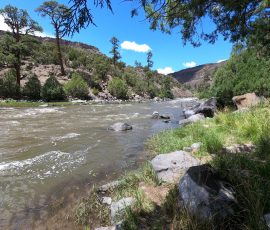 Wild Rivers Big Arsenic Rio Grande