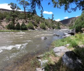 Wild Rivers Big Arsenic Rio Grande