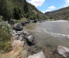 Wild Rivers Big Arsenic Rio Grande