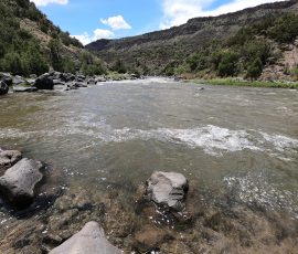Wild Rivers Big Arsenic Rio Grande