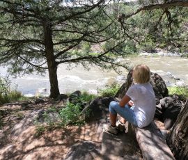 Wild Rivers Big Arsenic Paulette