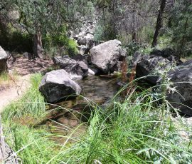 Wild Rivers Big Arsenic