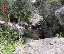 Wild Rivers Big Arsenic