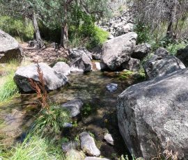 Wild Rivers Big Arsenic
