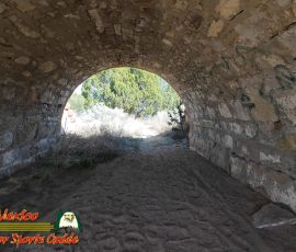 New Mexico Outdoors Photos 81 Santa Fe Rail Trail 03-10-2026 Action 4