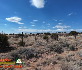 New Mexico Outdoors Photos 88 Santa Fe Rail Trail 03-10-2026 Action 4